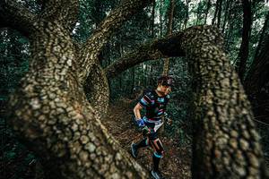 BIB: 
                            <button type="button" onclick="openModal(25393366)" class="btn btn-primary btn-sm float-right btn-popup" data-toggle="modal" data-target=".modal-high-quality">
                        <i class="fas fa-shopping-cart"></i> Add to Cart
                    </button>
                                            <button type="button" onclick="isThisMe(25393366, true)" class="btn btn-success btn-sm float-right btn-popup btn-isme hidden" data-toggle="tooltip" data-placement="bottom" title="นี่คือรูปของคุณใช่ไหม คลิกที่นี่เพื่อเอาเข้าอัลบั้ม">
                        <i class="fas fa-plus"></i> Add to album
                    </button>
                    <button type="button" onclick="isThisMe(25393366, false)" class="btn btn-warning btn-sm float-right btn-popup btn-isnotme hidden">
                        <i class="fas fa-ban"></i> Remove from album
                    </button>